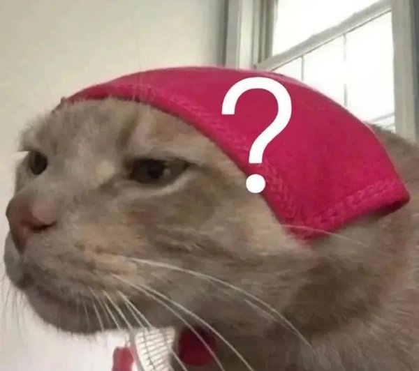 meme hỏi chấm (2)