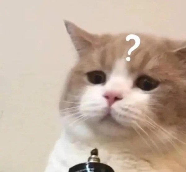 meme hỏi chấm (22)