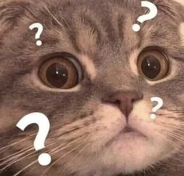 meme hỏi chấm (26)