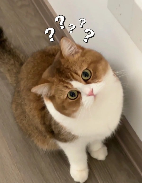 meme hỏi chấm (29)