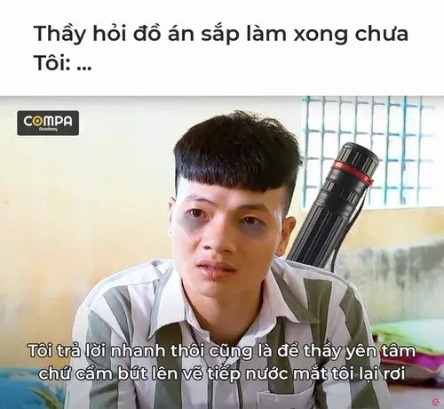 Ảnh vui lan truyền qua TikTok remix trend nhạc