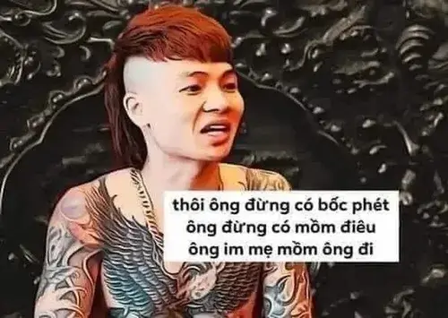 Meme troll dân mạng bàn tán về idol ảo Việt