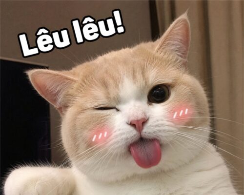 Meme lêu lêu – Ảnh chế cà khịa siêu hài hước nhất