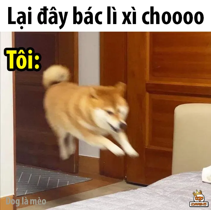Đầu năm gặp ai cũng mong nhận được chút may mắn.