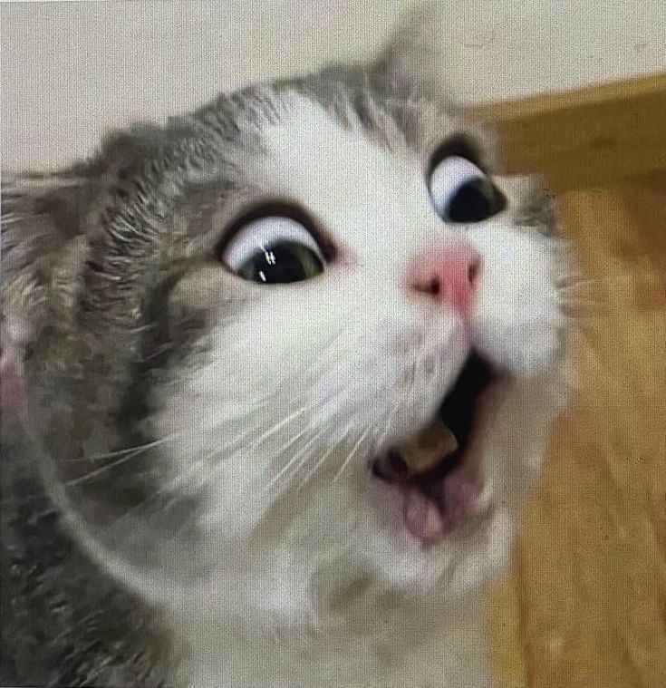 meme ngạc nhiên
