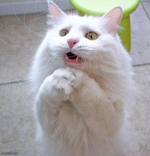 55 55