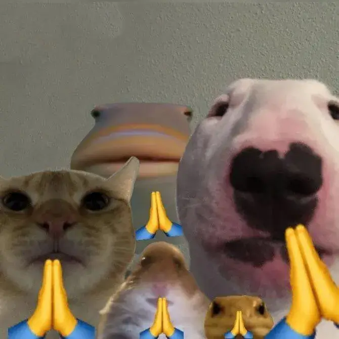 43 43