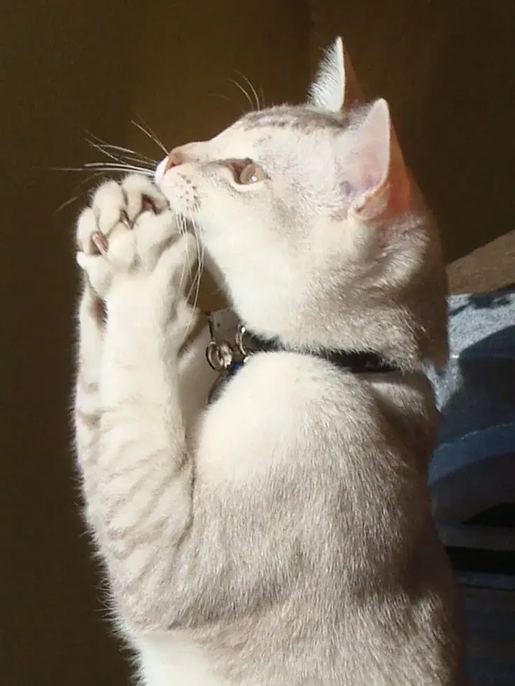 67 67