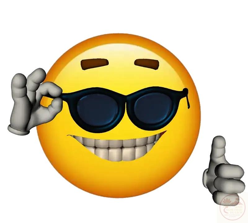 Meme siêu hài