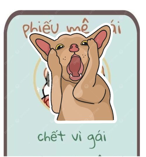 Meme sốc – Bộ ảnh chế sốc vãi mèo siêu hài hoảng hốt