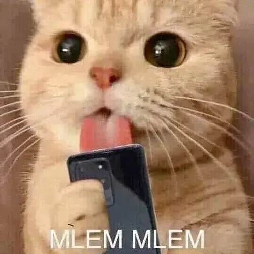 Khoảnh khắc mèo mlem mắt long lanh mê mẩn