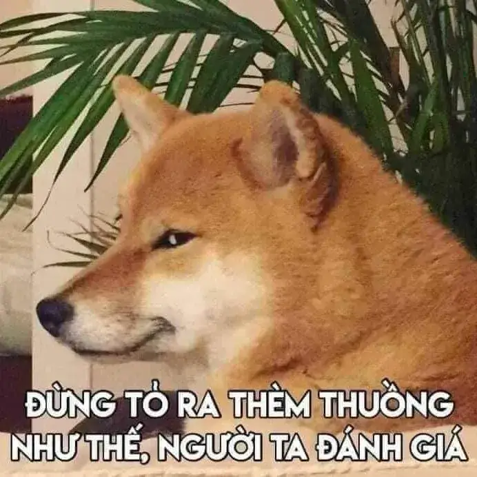 Đừng tỏ ra thèm thuồng như thế