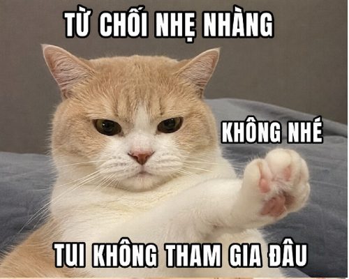 Meme từ chối – Bộ ảnh chế từ chối bia lịch sự siêu hài