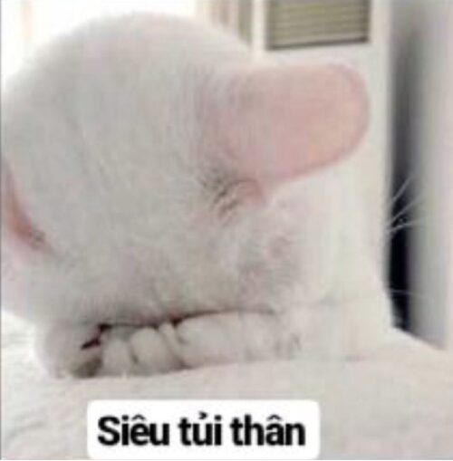 Meme tủi thân – Ảnh chế ngồi khóc một mình siêu hài