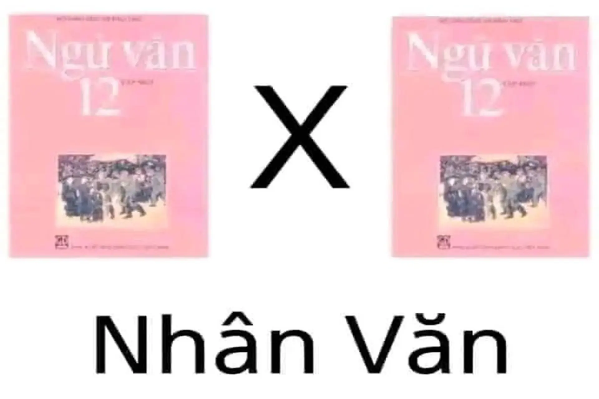 Meme nhân văn là gì? Tổng hợp những mẫu meme nhân văn ý nghĩa, độc đáo