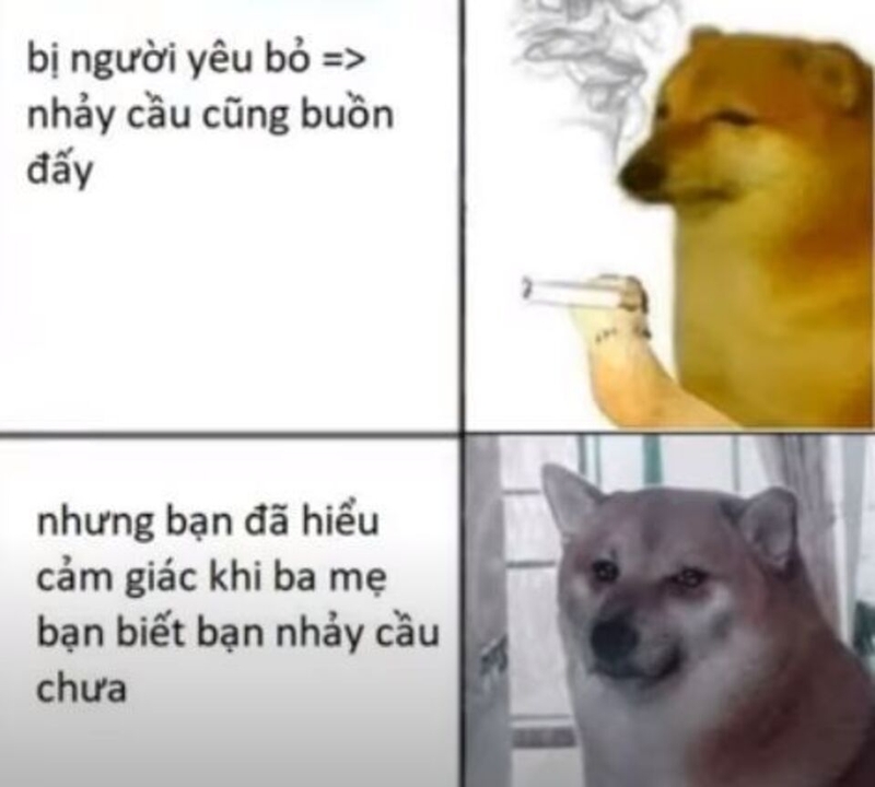 Meme nhân văn là gì? Tổng hợp những mẫu meme nhân văn ý nghĩa, độc đáo nhất