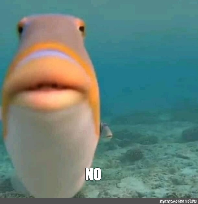 Meme no - Ảnh chế no no no phản ứng siêu hài hước 2 No Meme