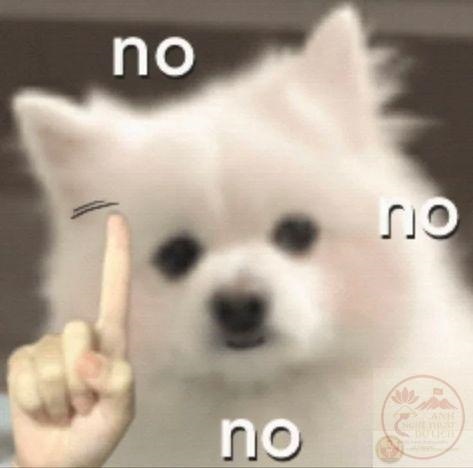 Meme no - Ảnh chế no no no phản ứng siêu hài hước 16 No Meme