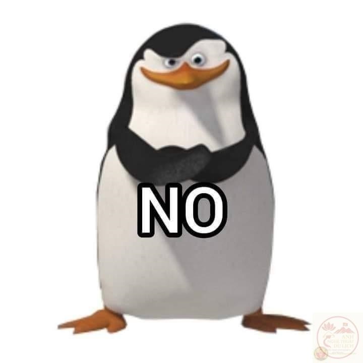 Meme no - Ảnh chế no no no phản ứng siêu hài hước 18 No Meme