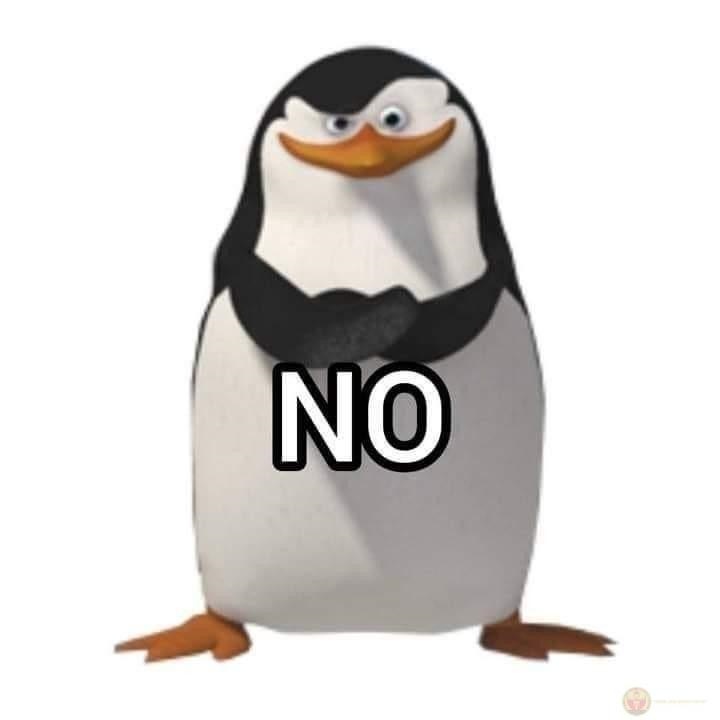Meme no - Ảnh chế no no no phản ứng siêu hài hước 21 No Meme