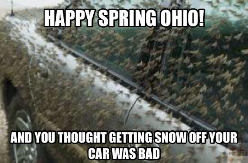 Ohio meme – Bộ ảnh chế bang kỳ quặc siêu hài hước nhất
