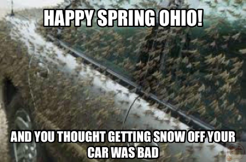 Ohio meme – Bộ ảnh chế bang kỳ quặc siêu hài hước nhất