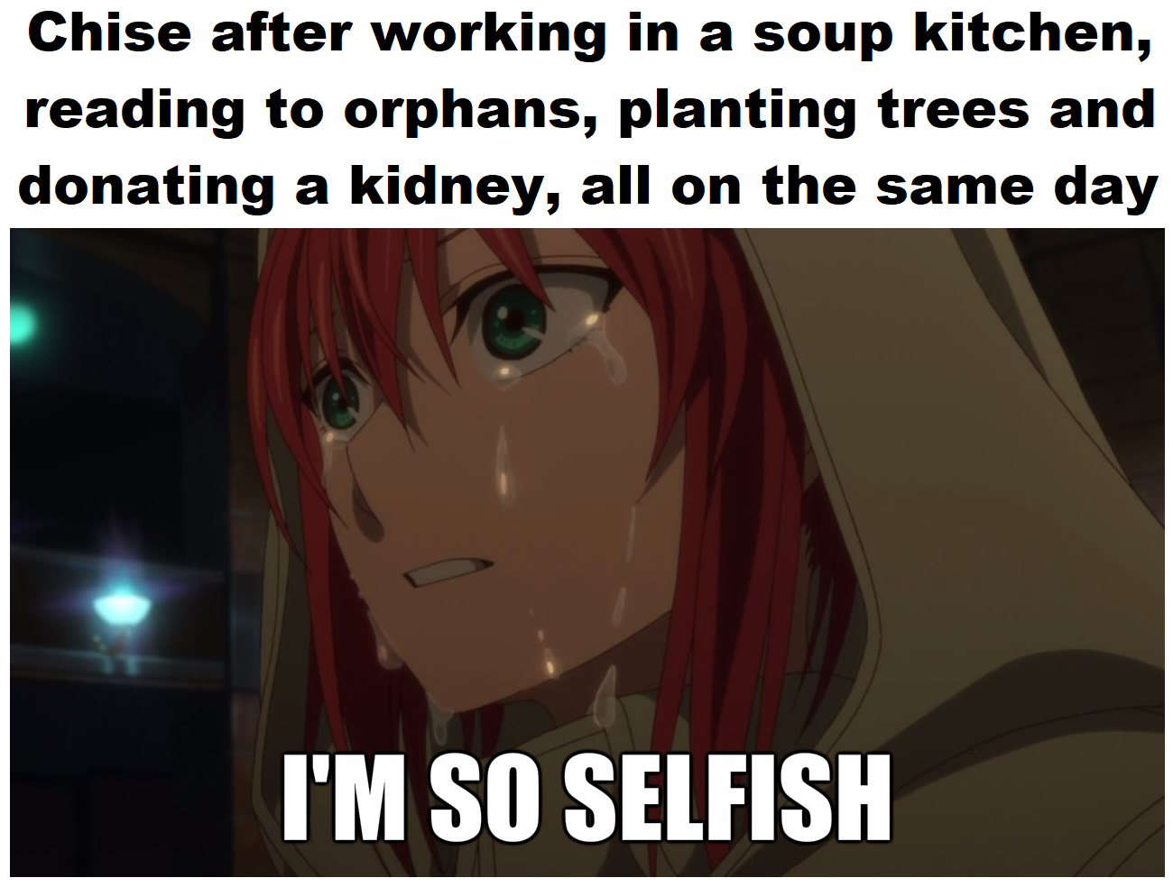 Full list of selfish things Chise has done: : r/AncientMagusBride