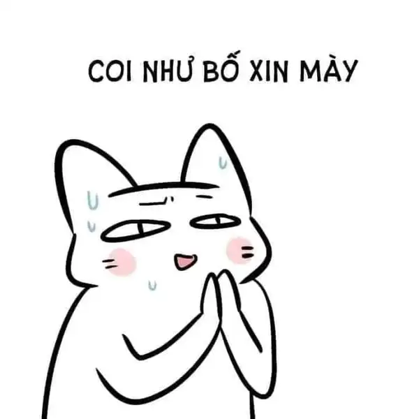 Meme quỳ lạy van xin cực hài Meme quỳ lạy van xin cực hài