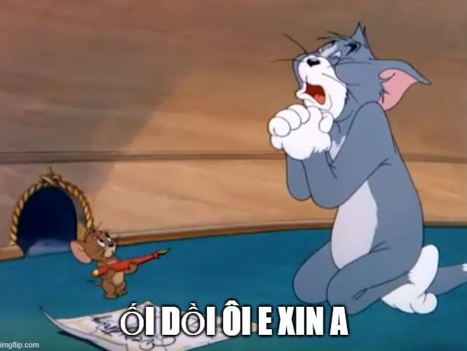 Mèo Tom quỳ lạy xin tha thứ Mèo Tom quỳ lạy xin tha thứ