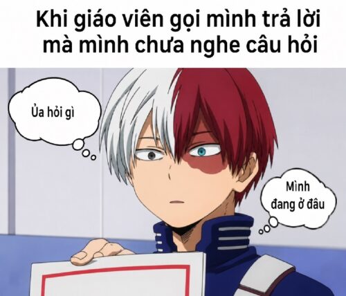 Meme Shoto Todoroki – Ảnh chế chàng nửa băng nửa lửa