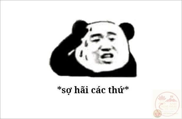 115+ chế sợ quá sợ quá meme của streamer Độ Mixi bá đạo