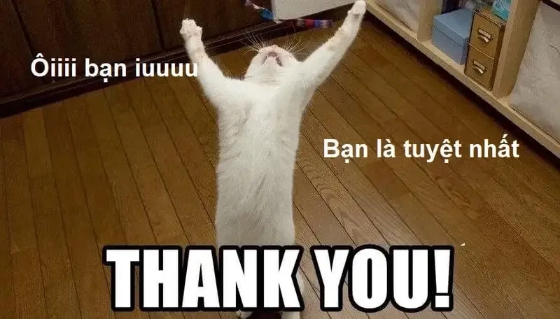 Tải ngay cảm ơn meme hài hước để tri ân theo cách riêng