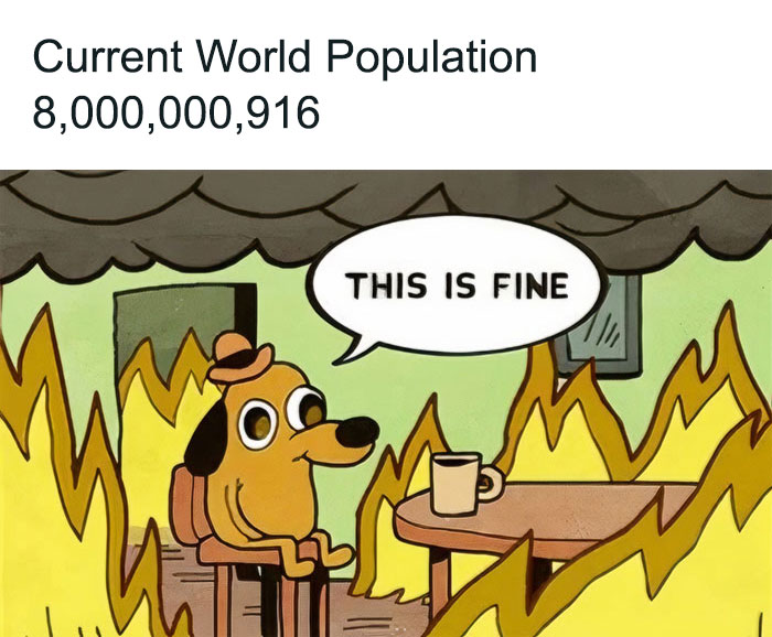 This Is Fine Meme - TOP Ảnh Chế Fire Dog 🔥