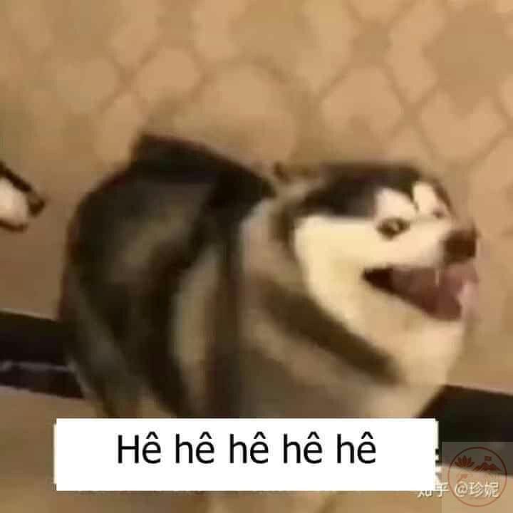 Gốc) Hẹ Hẹ Hẹ meme - Anh em mình cứ thế thôi hẹ hẹ hẹ