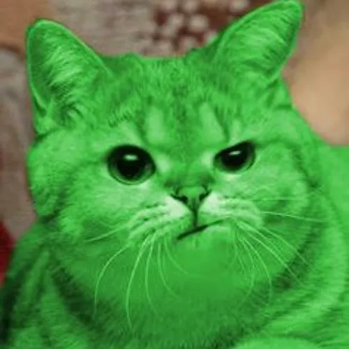 62