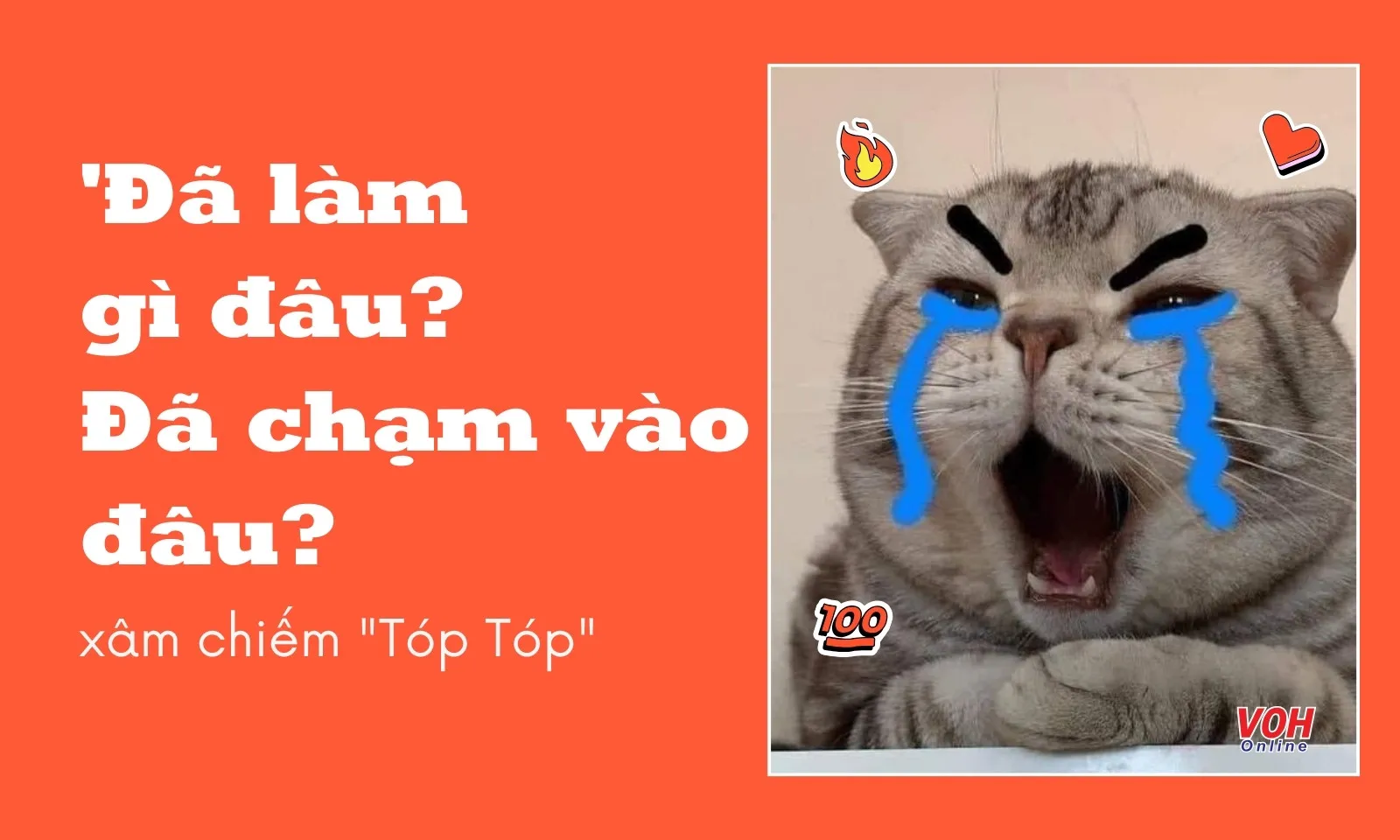 Đã làm gì đâu? Đã chạm vào đâu?" xâm chiếm "Tóp Tóp"