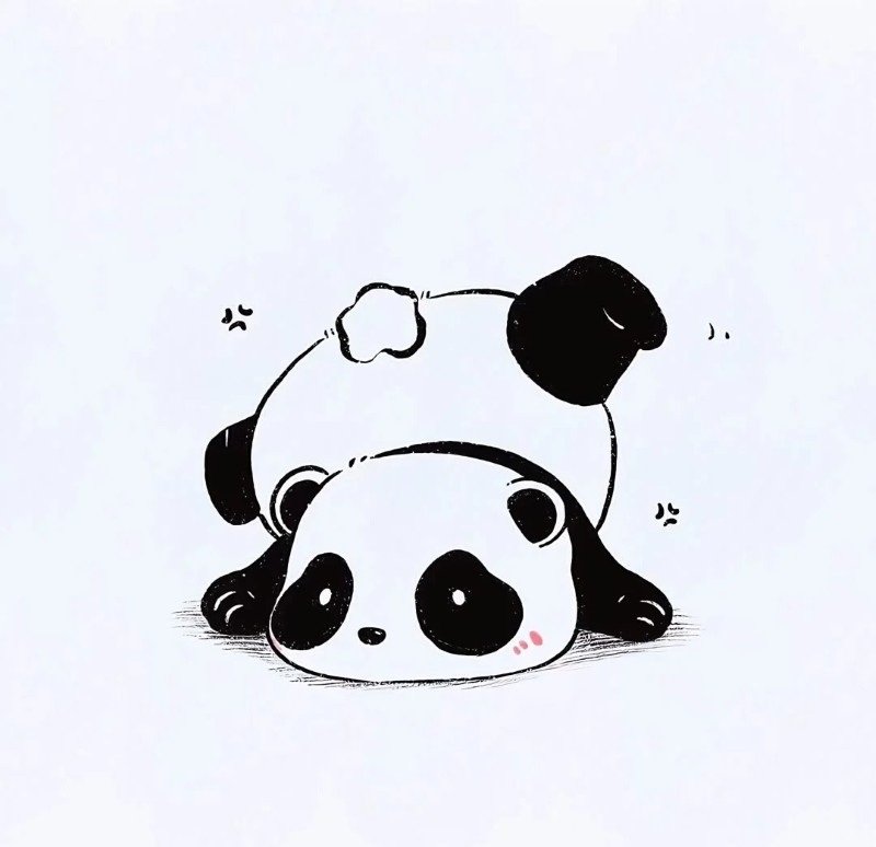 anime avatar ảnh gấu trúc cute chibi 26