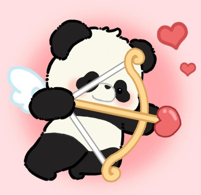 anime avatar ảnh gấu trúc cute chibi 4