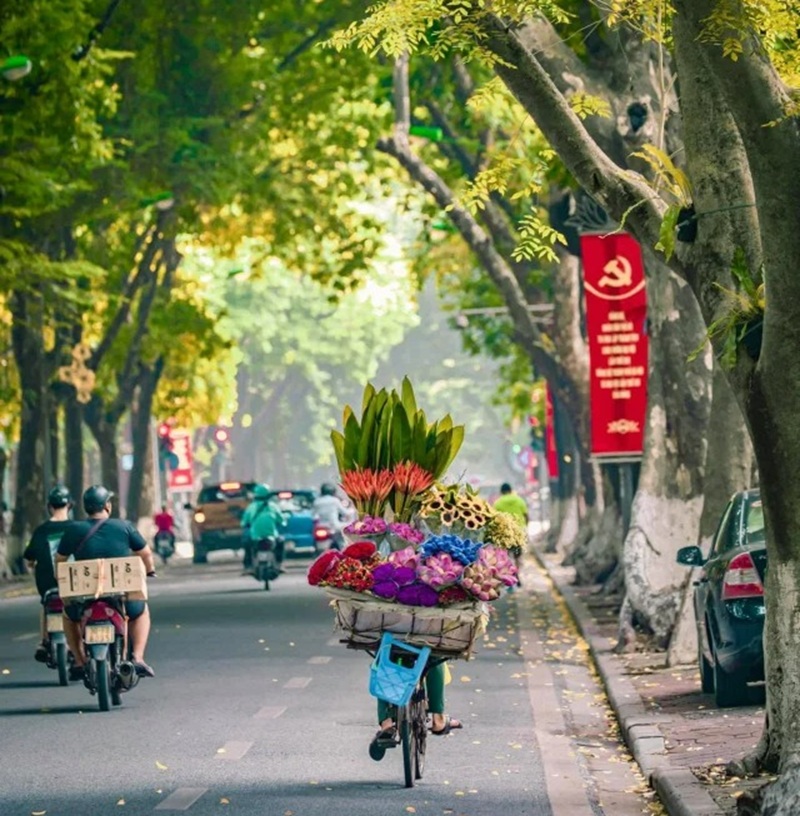 avatar ảnh việt nam cute 32