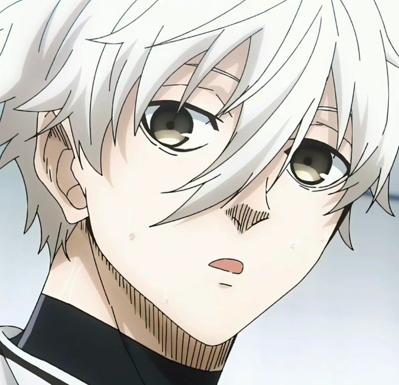 avatar anime blue lock 34