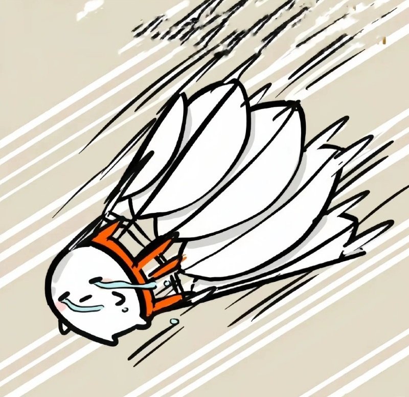 avatar cầu lông anime 30