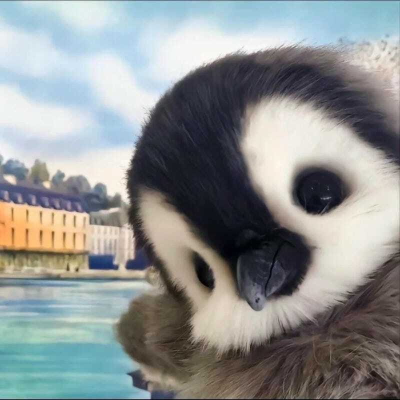 Avatar chim cánh cụt cute dễ thương phong cách hoạt hình
