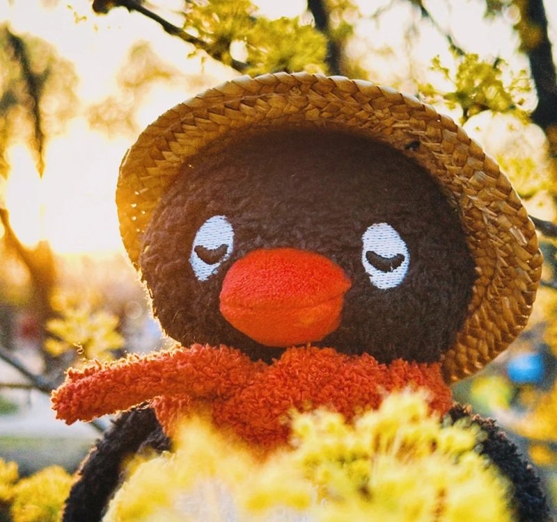 Avatar chim cánh cụt cute với biểu cảm ngơ ngác hài hước