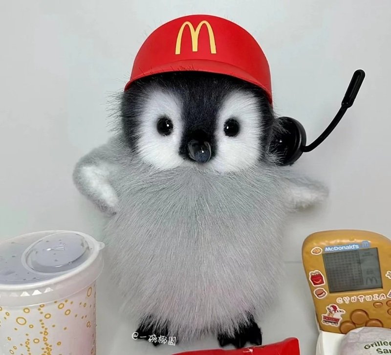Ảnh avatar chim cánh cụt cute biểu cảm vui nhộn hài hước