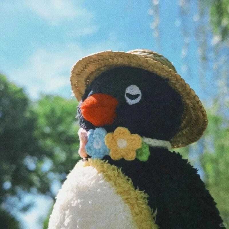 Ảnh avatar chim cánh cụt cute giúp profile thêm sinh động