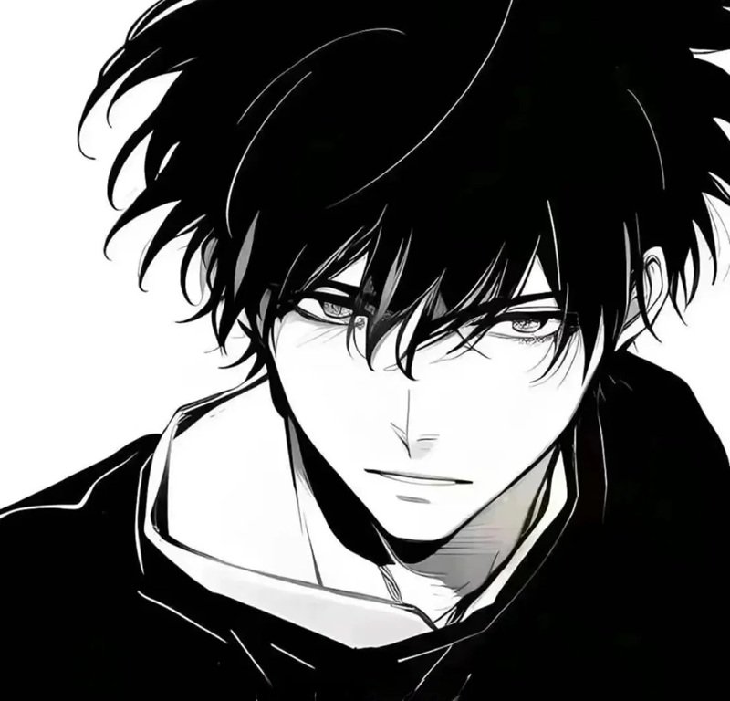 avatar đôi anime đen trắng 39