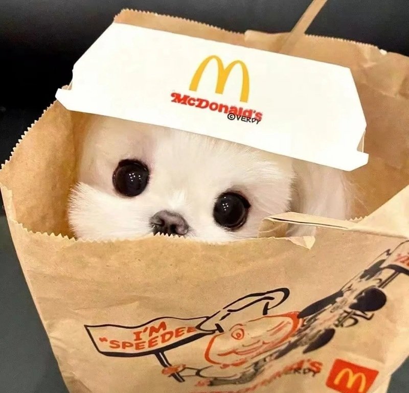 avatar đôi bff cute​ 7