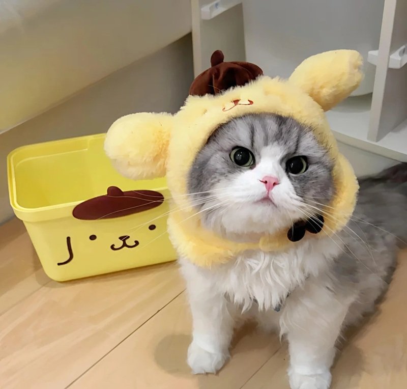 avatar đôi cho 2 người 6