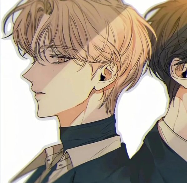 avatar đôi đam mỹ 11