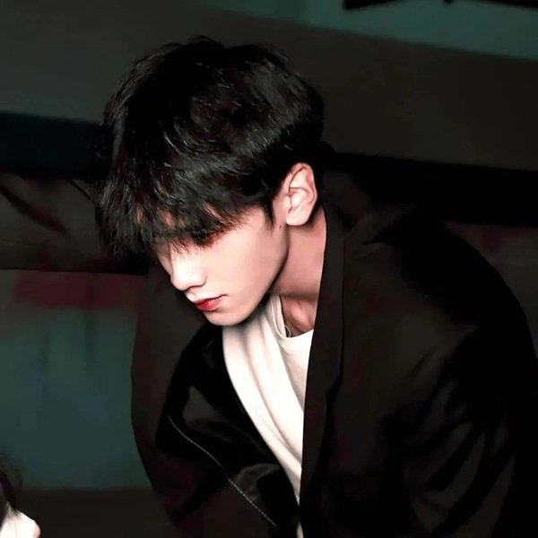 avatar đôi đam mỹ 14